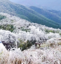 融安德圣峰上的雾凇和冰凌景观美成仙境，银装素裹，风景如画